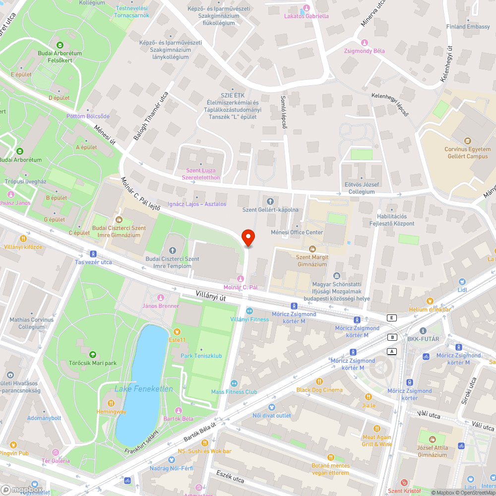 Kiszáradt rózsabokor, szemét, erodálódott talaj bejelentés helye