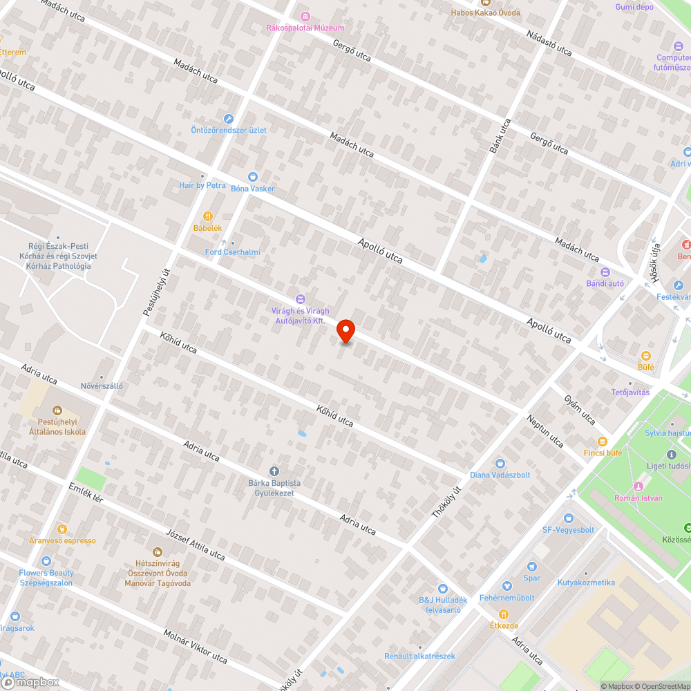 Elhagyott, épület előtt gondozatlan terület és autó bejelentés helye