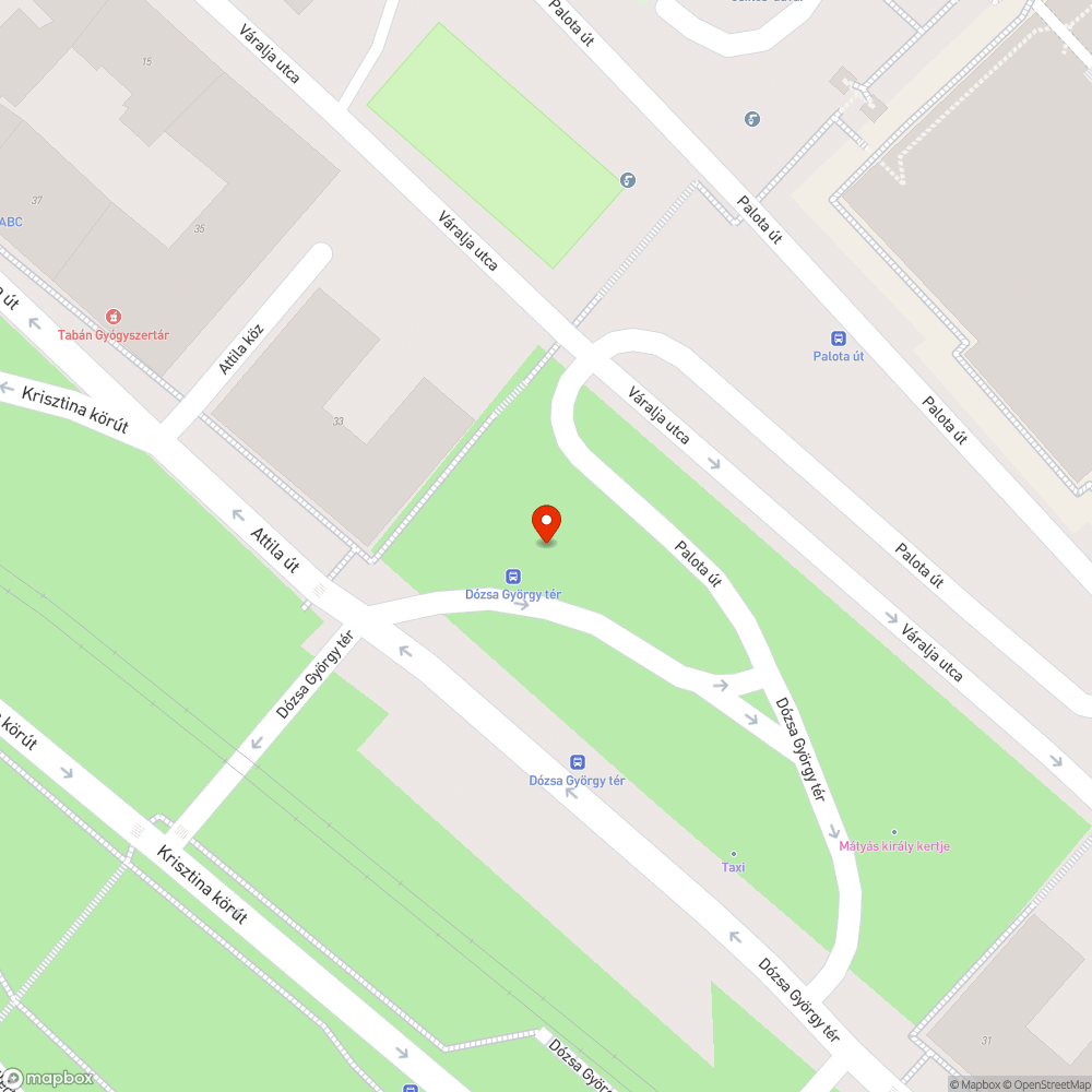 Kiszáradt fa bejelentés helye