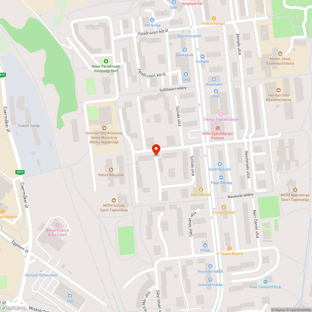 Roncs szürke Mazda tilosban parkol bejelentés helye