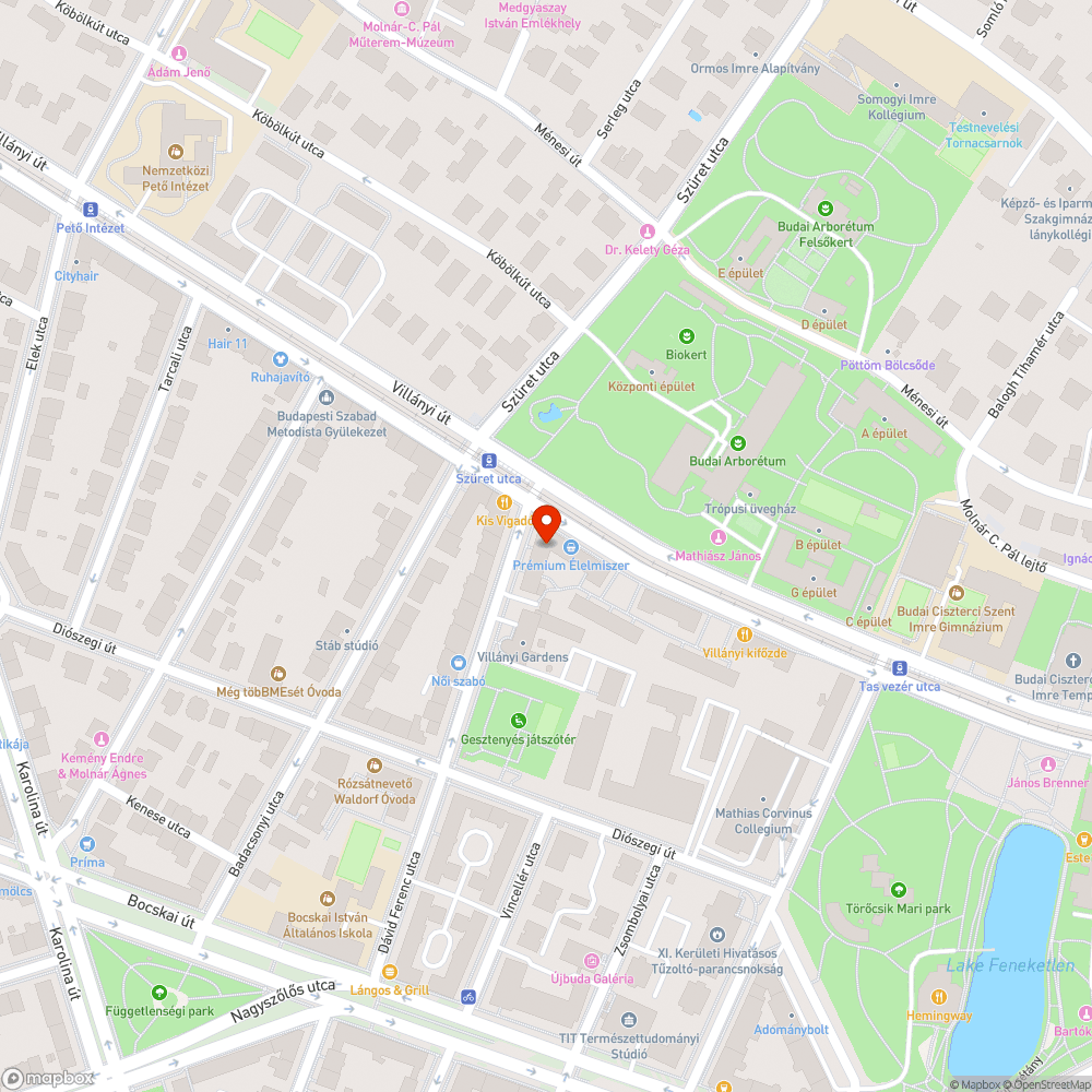 Zöldhulladék a járdán bejelentés helye