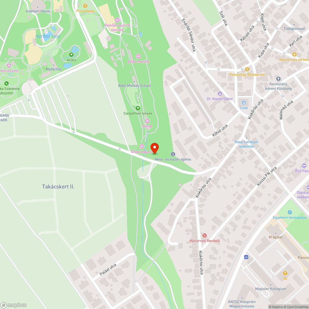 Szemét a Gulyadombra vezető út mellett bejelentés helye