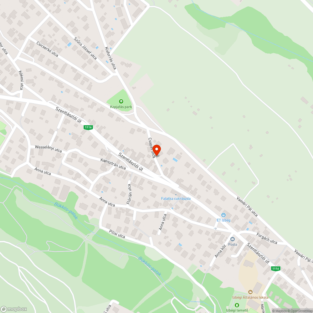 Teljesen eltakart és kiégett közvilágítási lámpa bejelentés helye