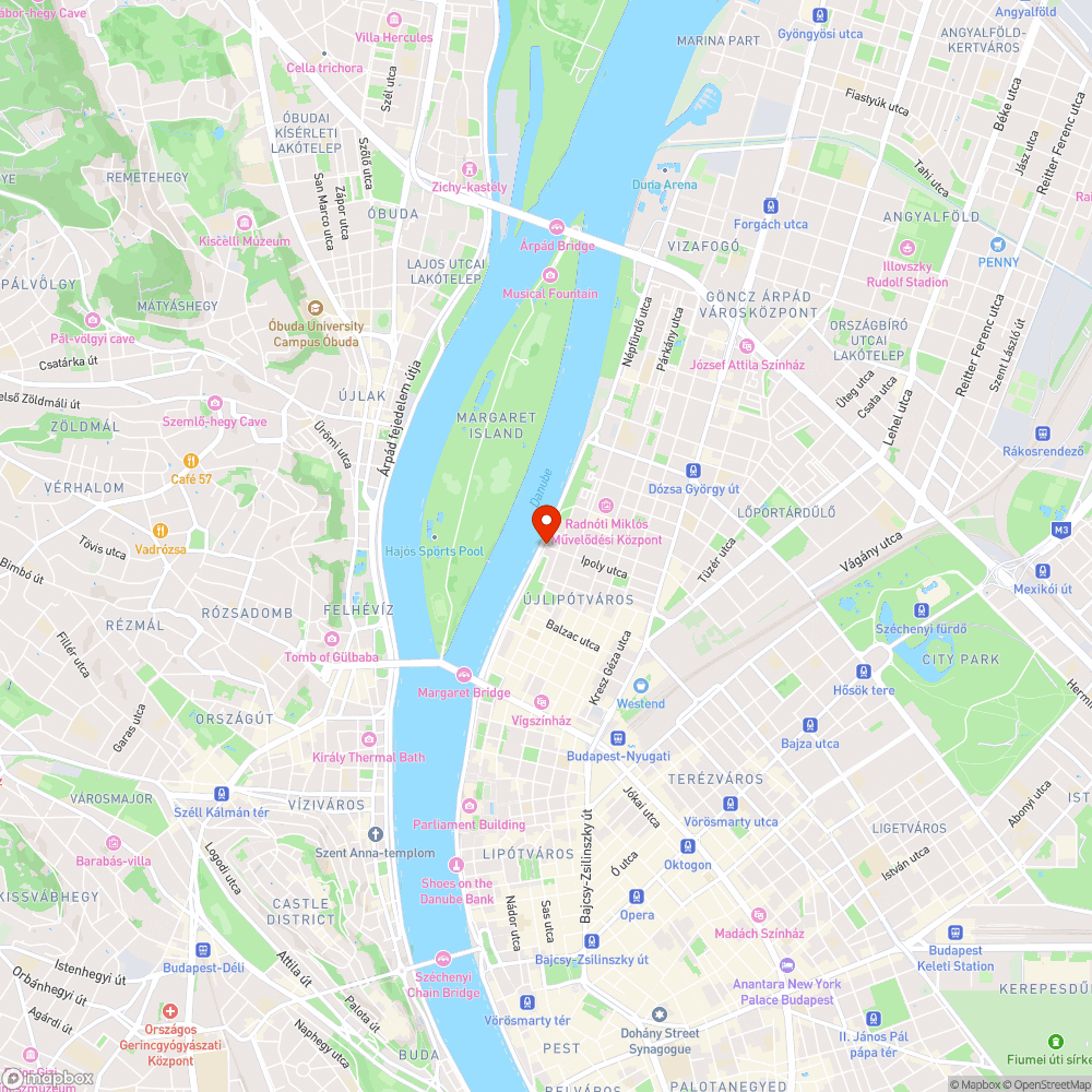 Leszakadt faág az Újpesti rakparton az Ipoly utcánál bejelentés helye