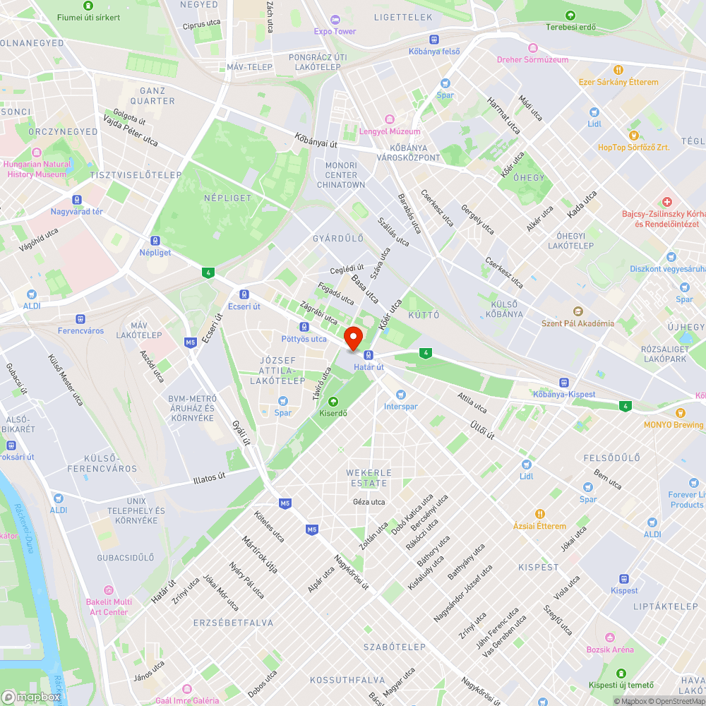 Gaz, gyom, dudva az Üllői út mellett és a villamossíneken bejelentés helye