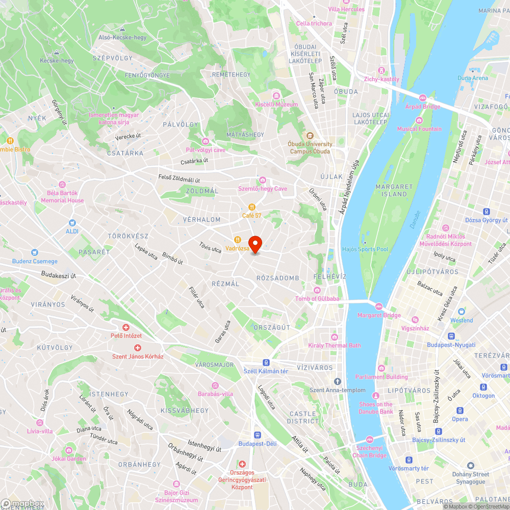 Gazzal sűrűn benőtt közterület bejelentés helye