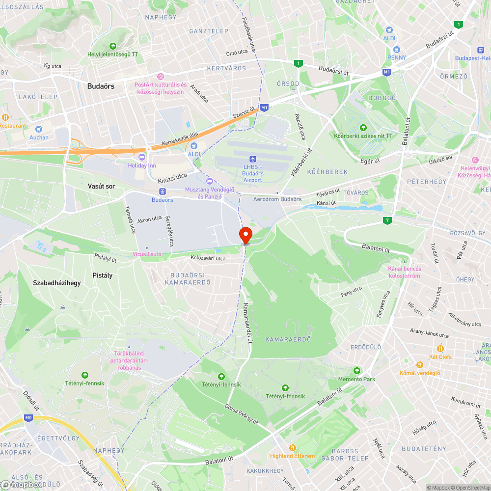 Kamaraerdei Ifjúsági Park villamos végállomás rehabilitáció/1 bejelentés helye