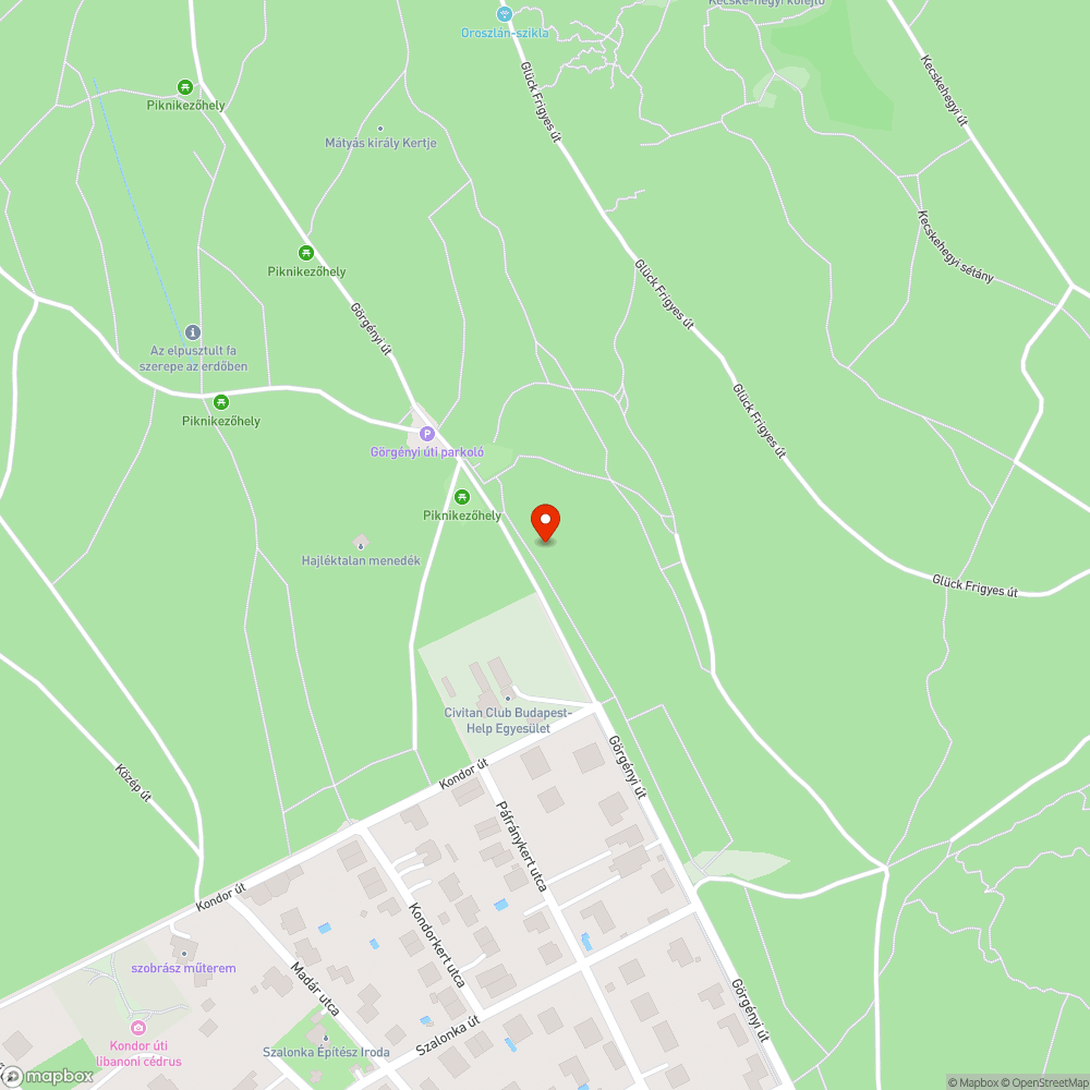 Elütött kutya bejelentés helye