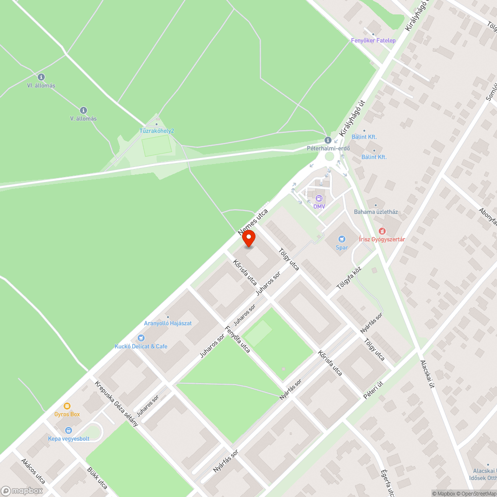 Vélhetően nem szabályos és veszélyes parkolás bejelentés helye