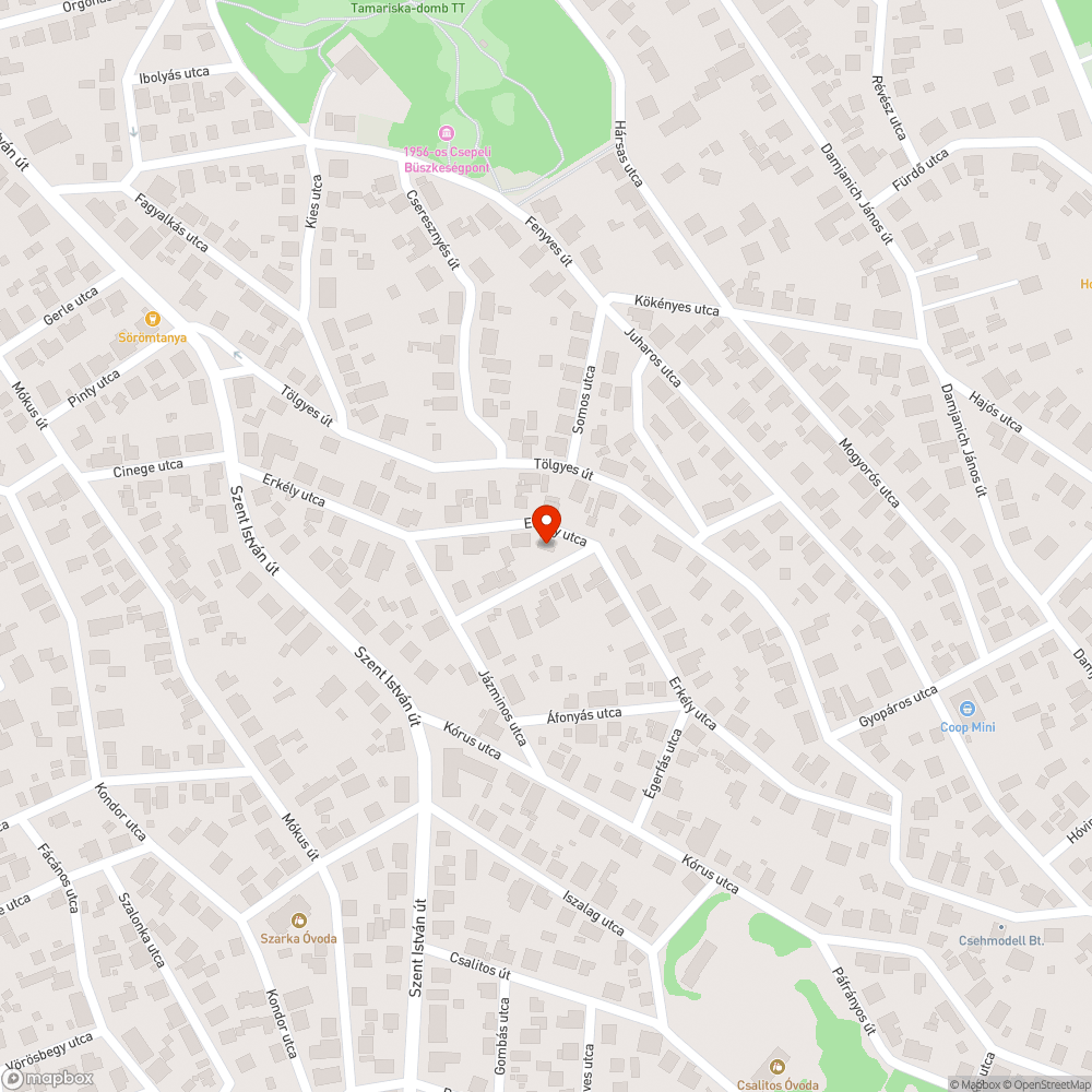 Viharkár utáni zöldhulladék bejelentés helye