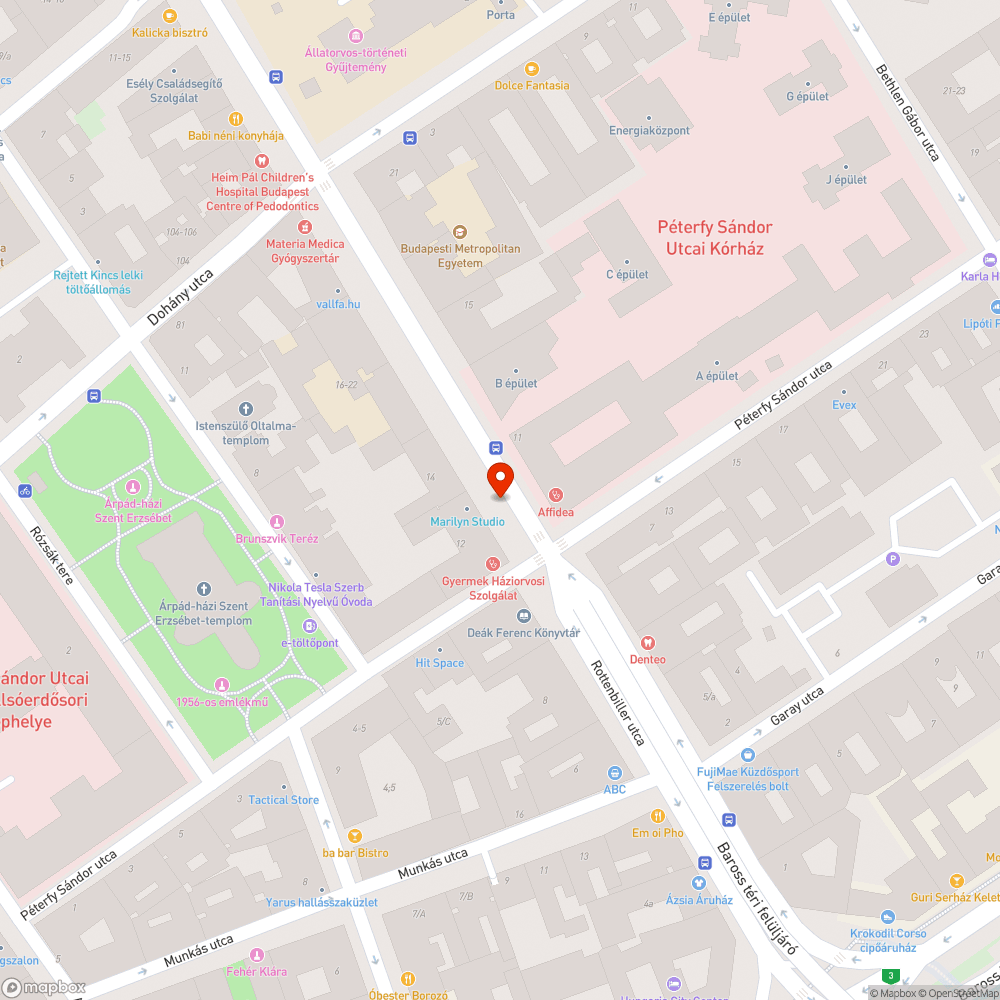 Száradt ágak a járdánál bejelentés helye