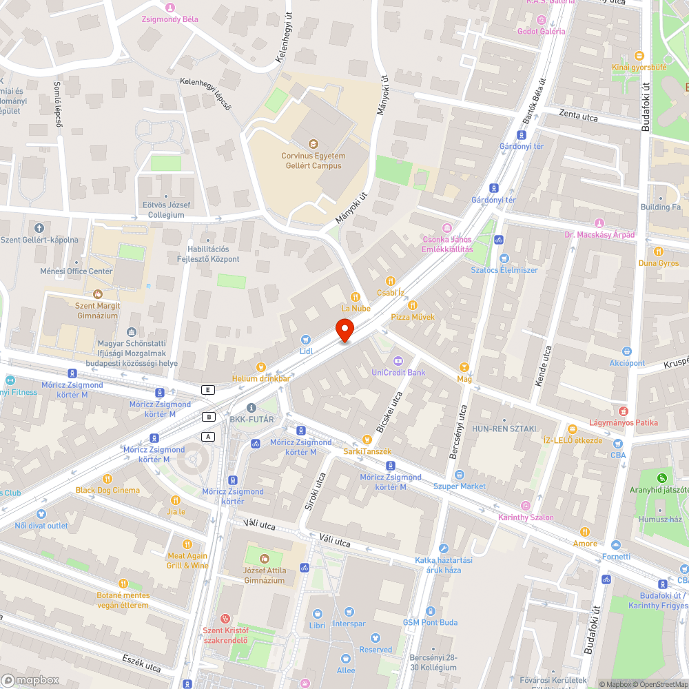 Rendszeresen várakozóhelyként használt kerékpársáv bejelentés helye