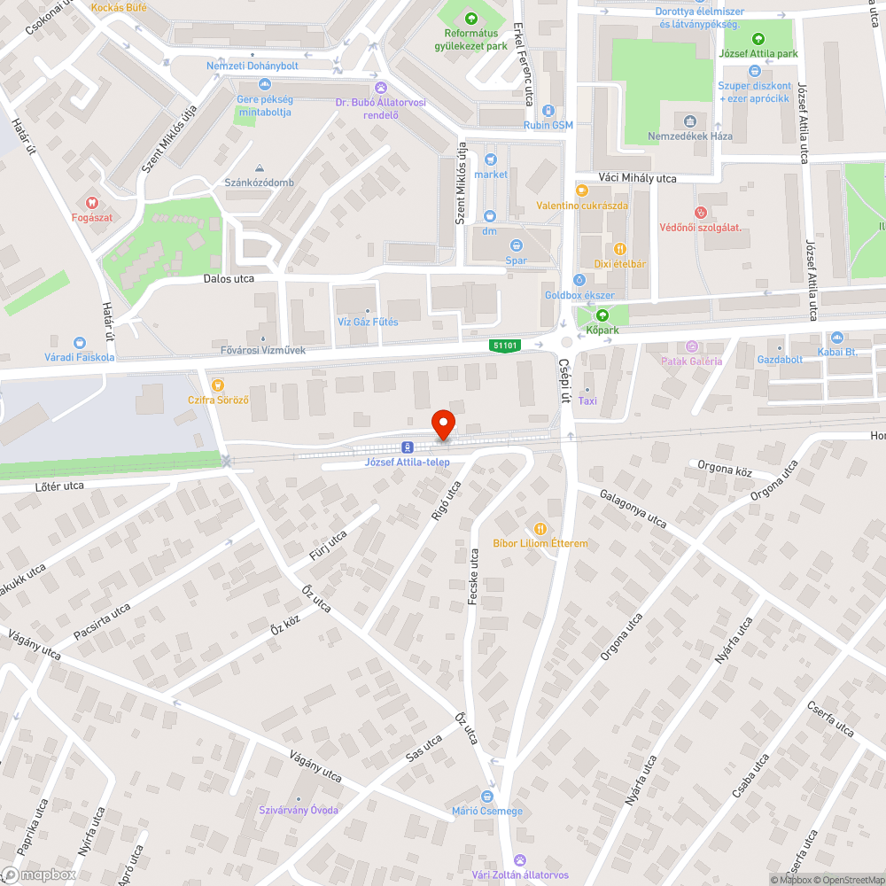 Magasra nőtt gaz a megálló melletti háznál bejelentés helye