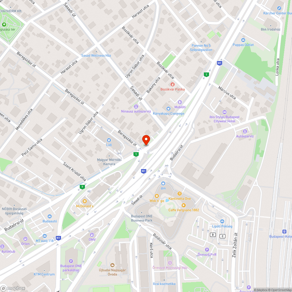 Beregszász út - Budaörsi út szemetes bejelentés helye