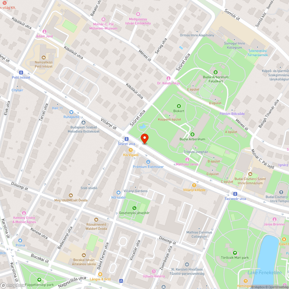 Szemét a járdán bejelentés helye