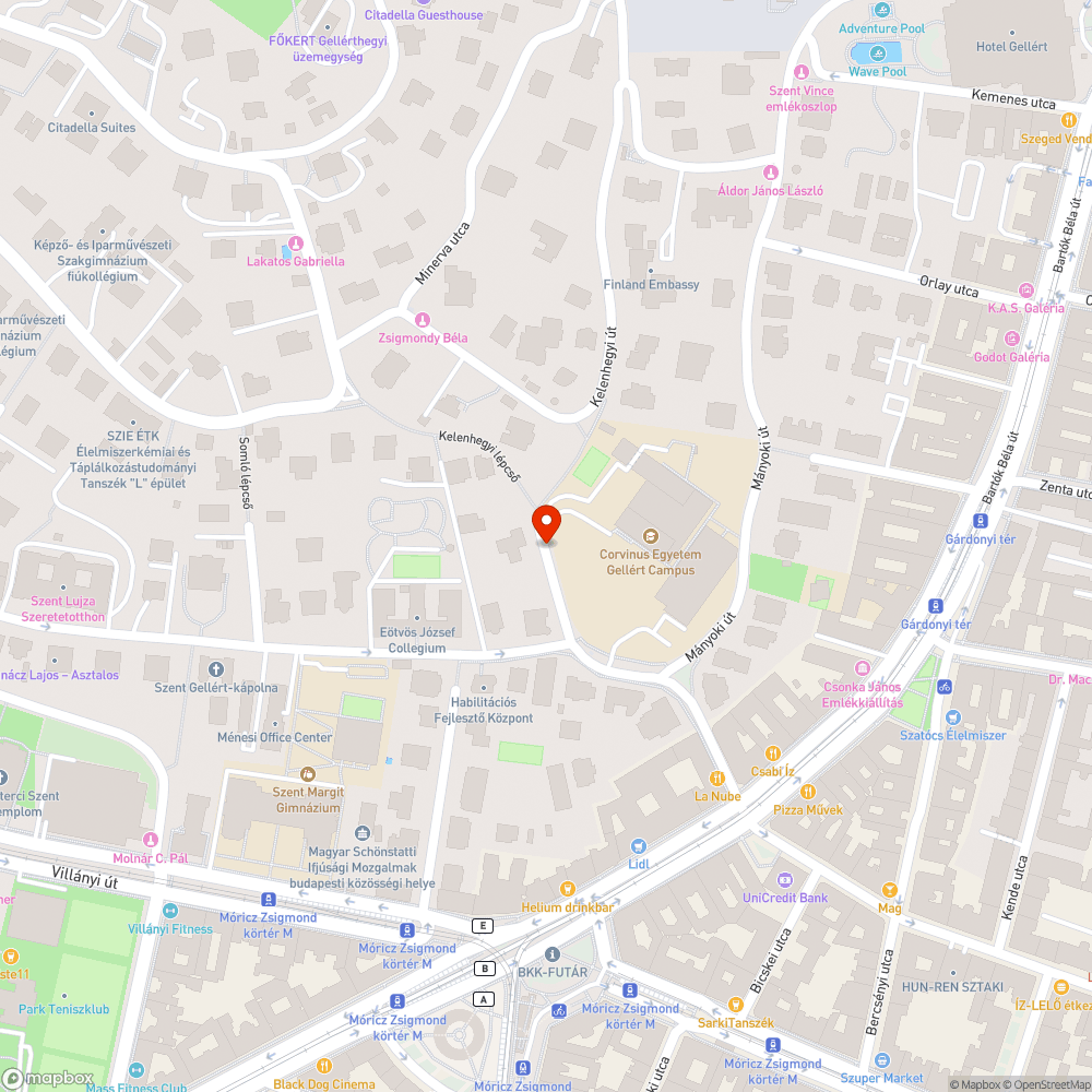 Benőtték a fák a lámpákat bejelentés helye