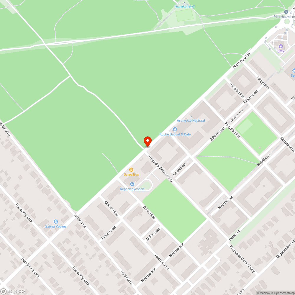 Buszmegállót benőtte a zöld bejelentés helye