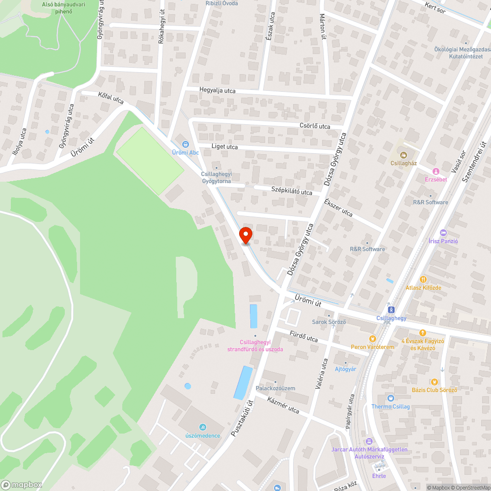 Eldugult víznyelő bejelentés helye