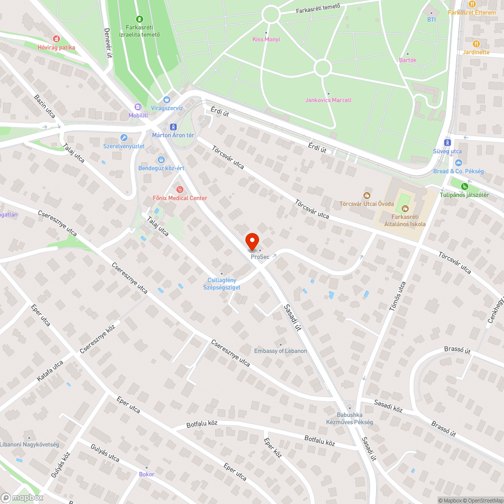 Sasadi - Zajzon BKK buszmegálló firka bejelentés helye