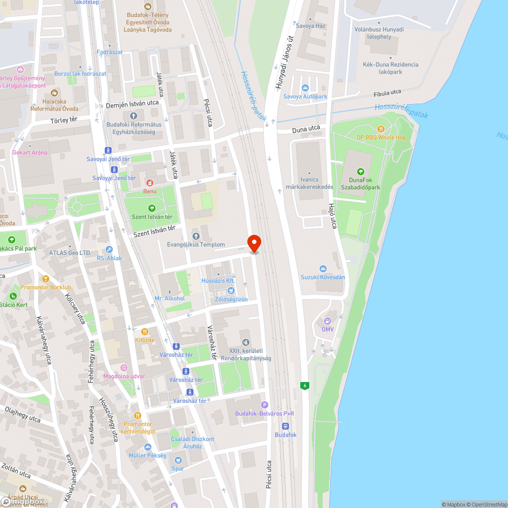 Járdát elfoglaló fa a Pécsi utcában bejelentés helye