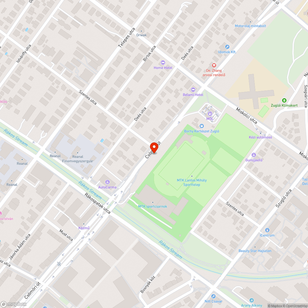 Elhanyagolt, zöld hulladékkal teli parkos rész bejelentés helye