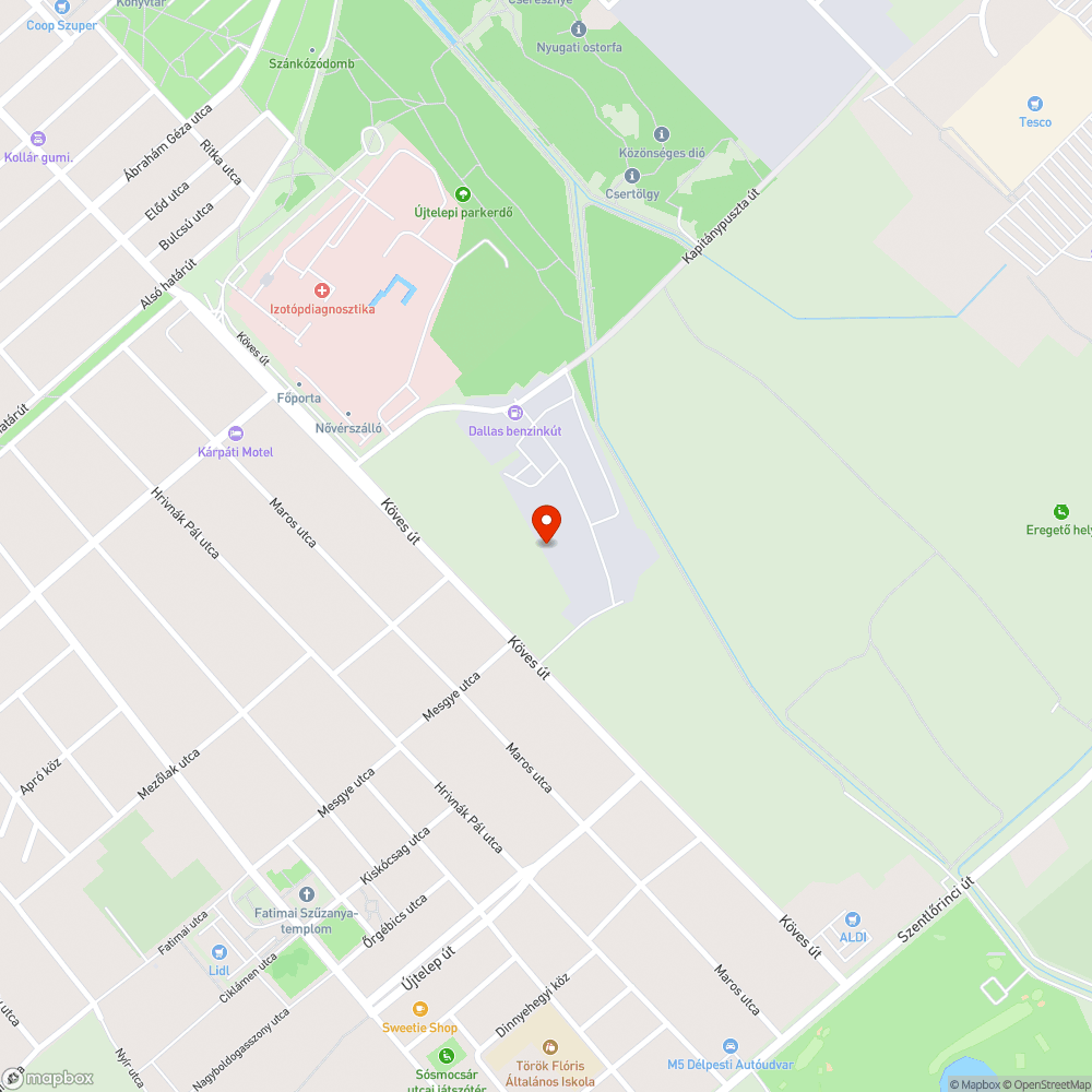 Szétszórt szemét a Gubacsipuszta réten bejelentés helye