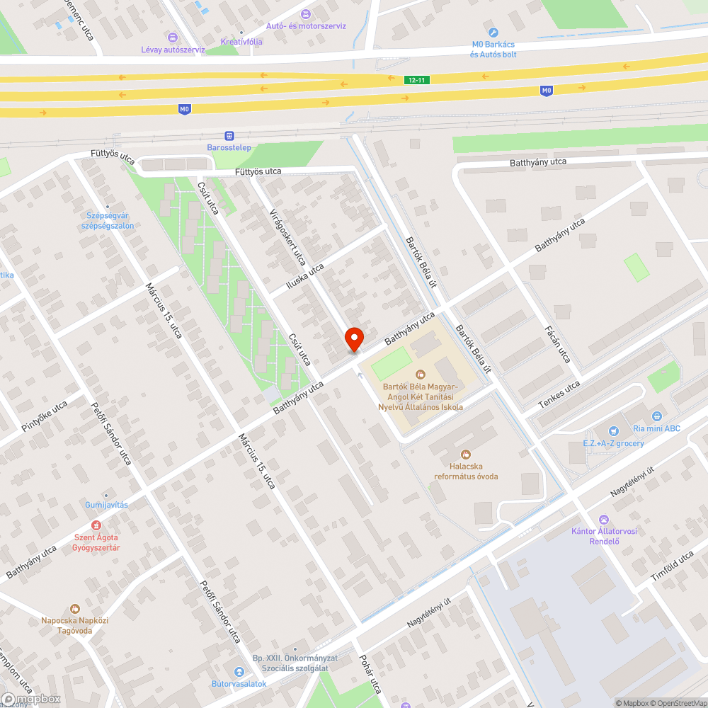 Láthatatlan zebra bejelentés helye