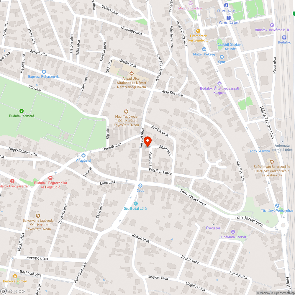 A járdát benőtte a gaz és a fák (Agár köz) bejelentés helye