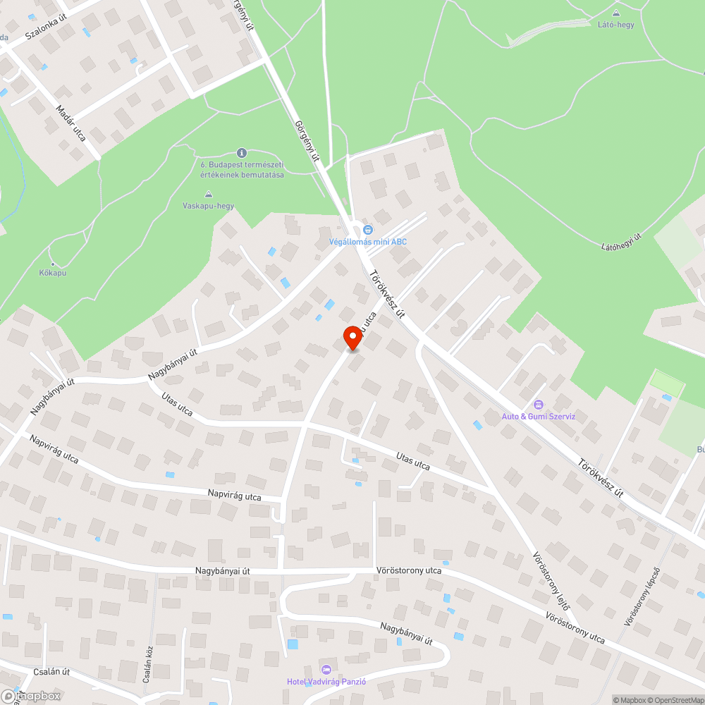 Növényzettel benőtt lámpa a Batyu utcában bejelentés helye