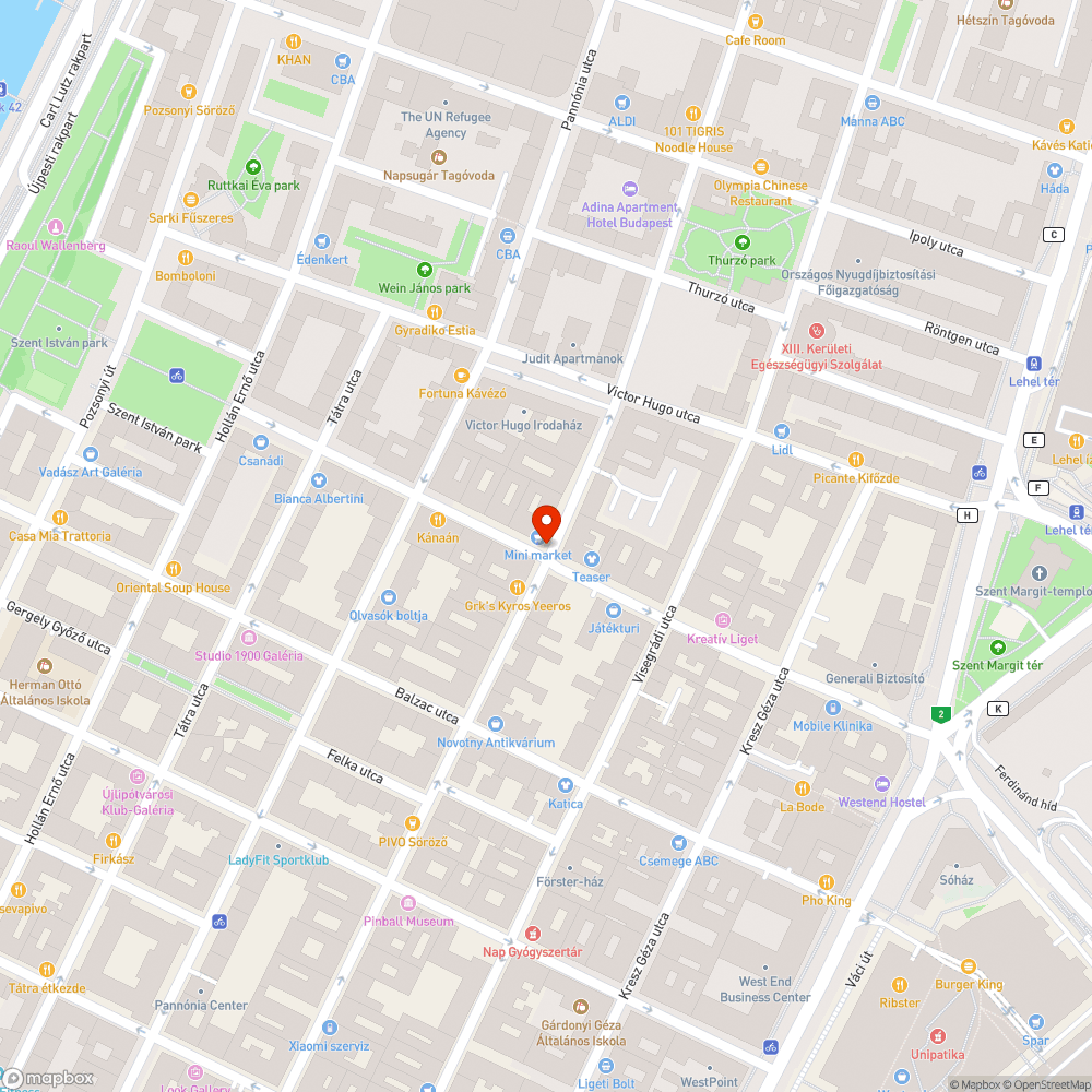 Rendszeres szemét a belvárosban bejelentés helye