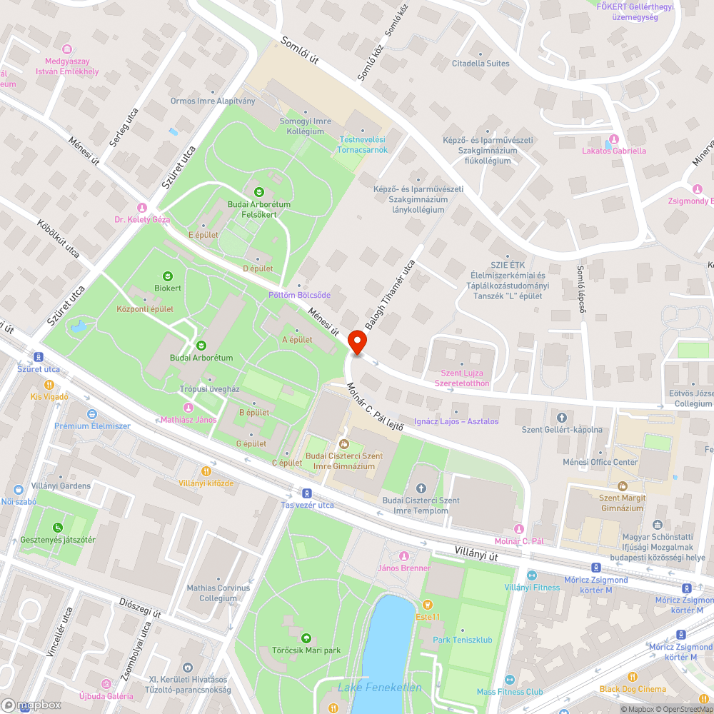 Parkolás beláthatatlan kanyarban, hiányzó kerékpársáv bejelentés helye