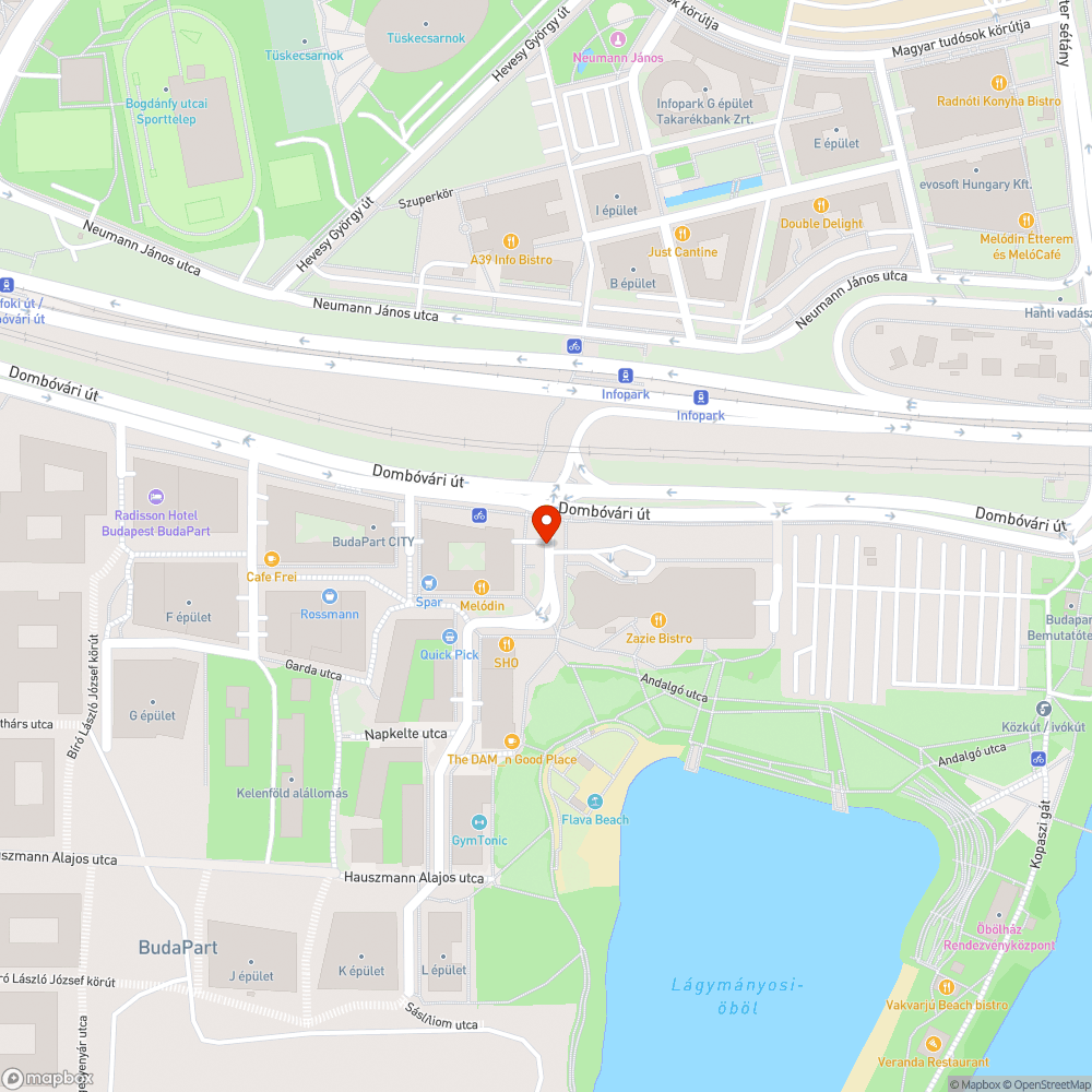 Végig szabálytalanul parkolnak bejelentés helye