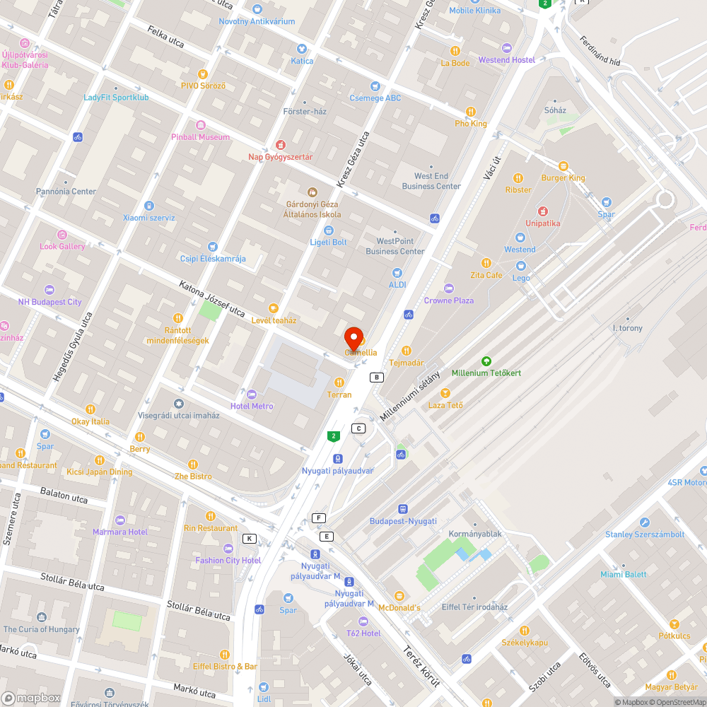 Nagyméretű szemét a telefonfülke mögött bejelentés helye