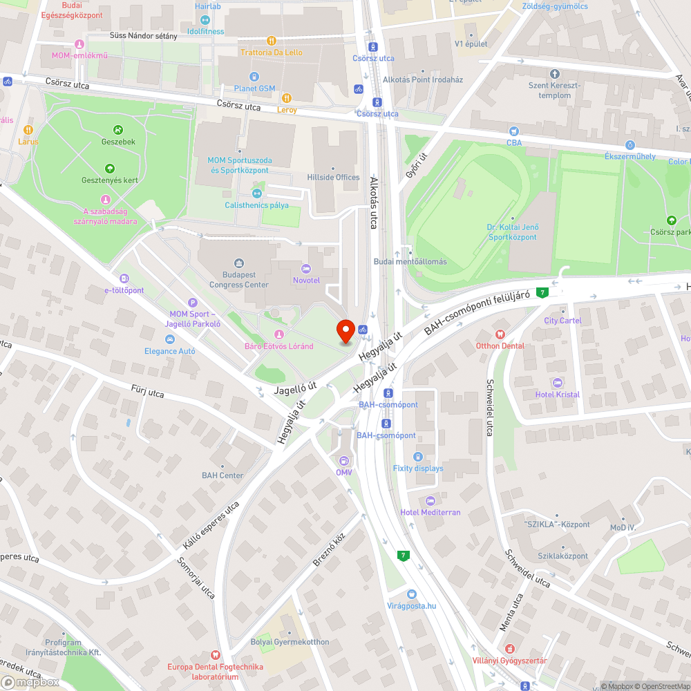 Szeméttel teli kutyaürülékgyűjtő bejelentés helye