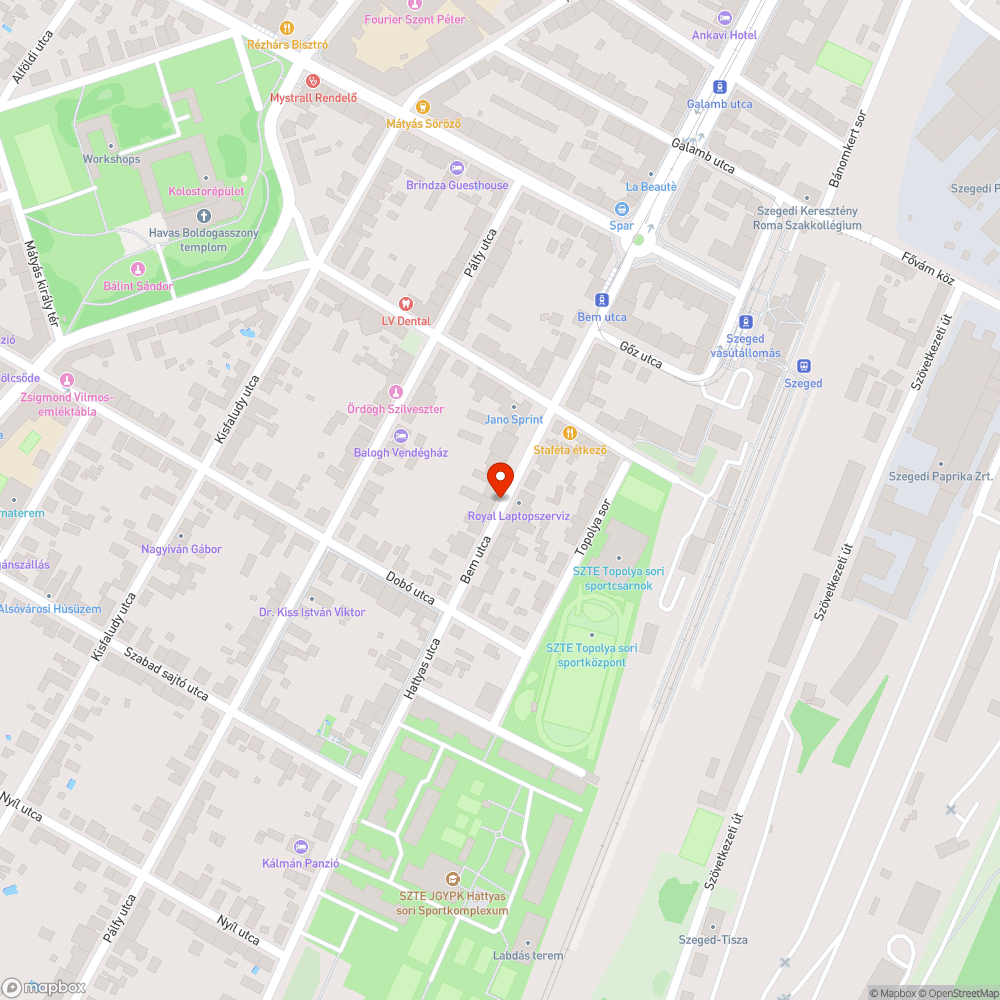 Teleparkolt Bem utca, növények életterének teljes hiánya bejelentés helye