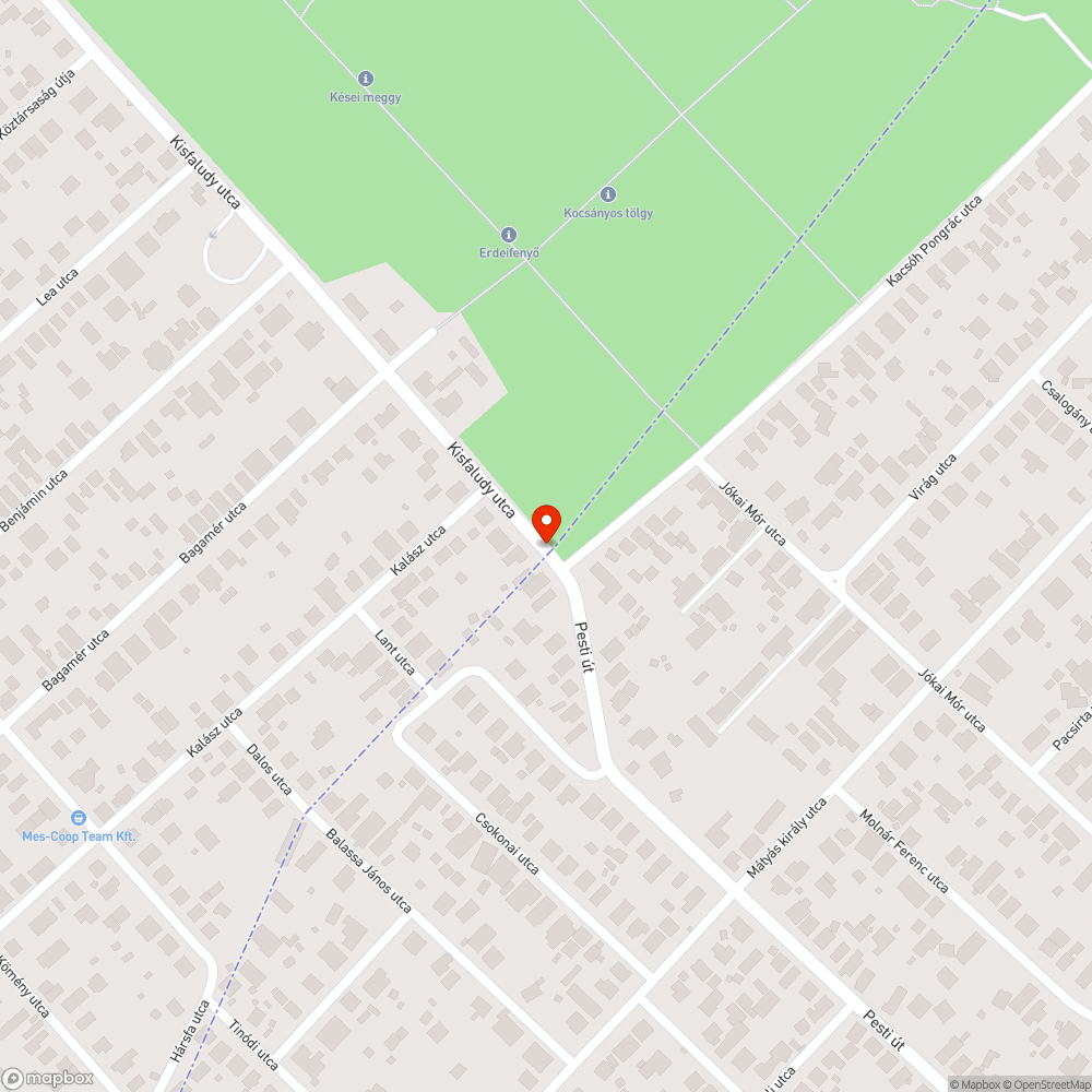 Gyalogos-átkelőhely hiánya bejelentés helye