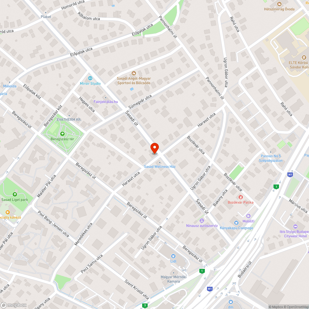 Zöldhulladék elszáradva zöldterületen Haraszt utca bejelentés helye