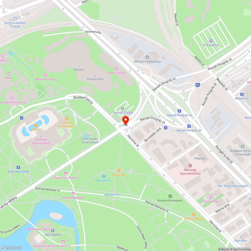 Hatalmas bokor belóg az úttestre bejelentés helye