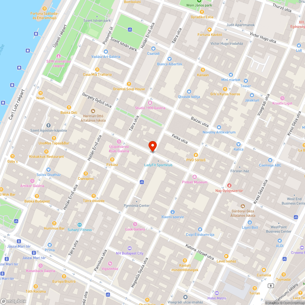 Nem visszafestett kerékpársáv bejelentés helye