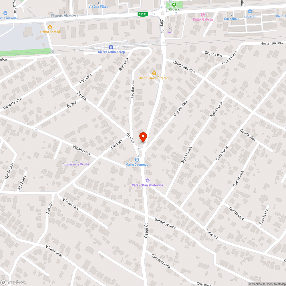 Veszélyes zebra bejelentés helye