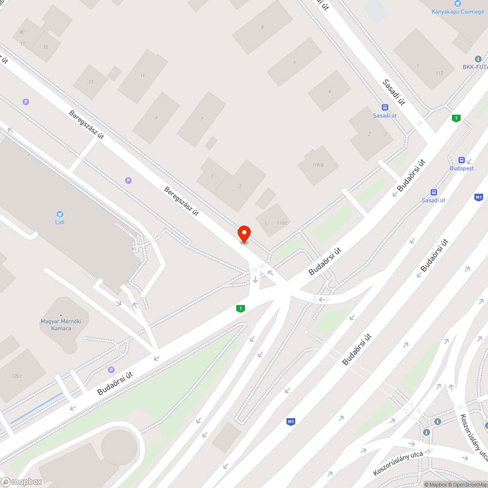 Beregszász út levélsöprés bejelentés helye