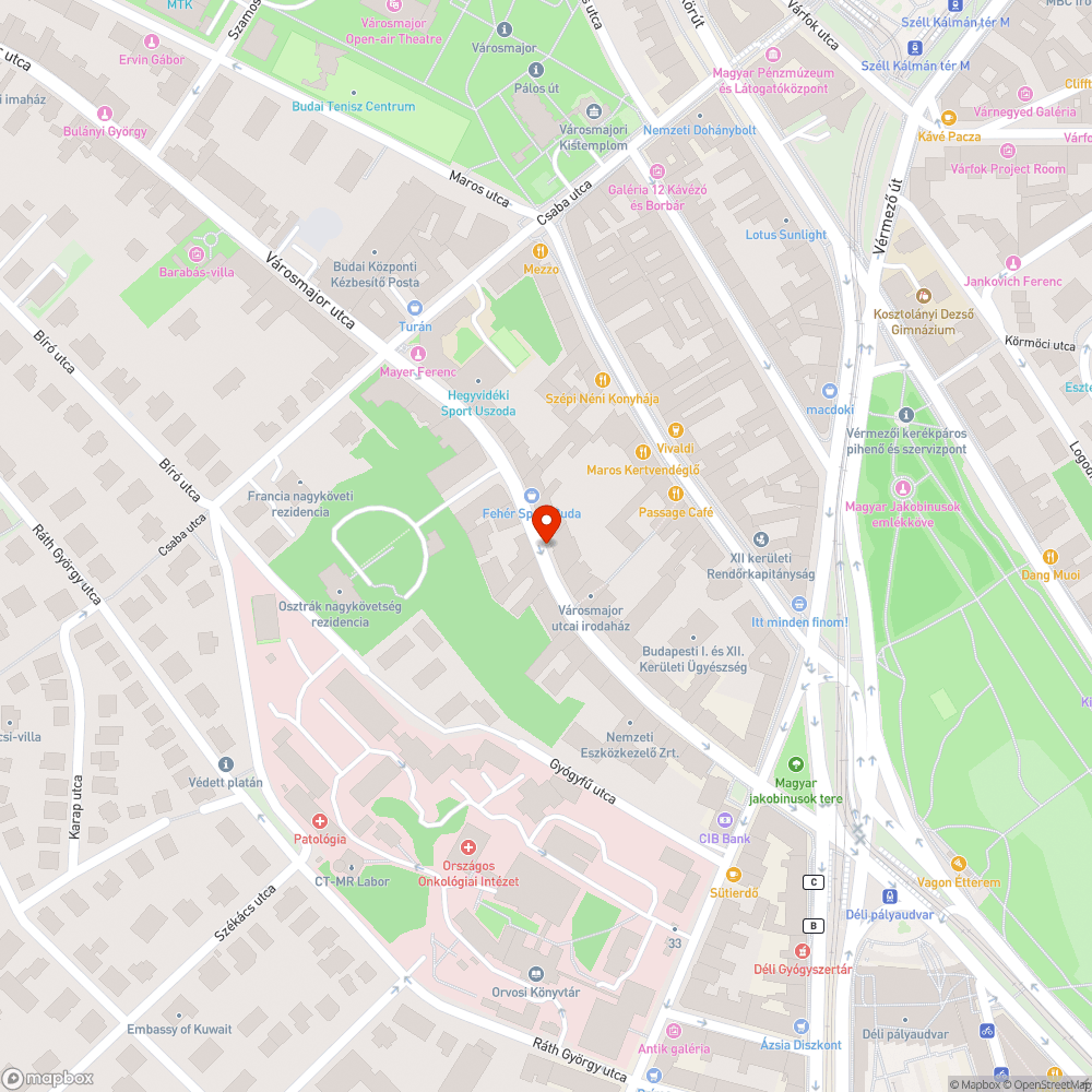 Elgázolt cica :( bejelentés helye