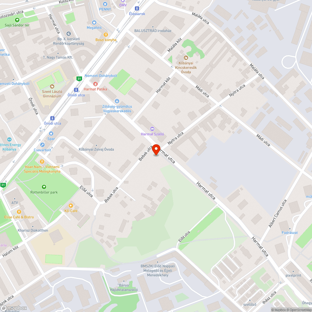 Feltörő víz a Harmat-Bebek utca által határolt zöldterületen bejelentés helye