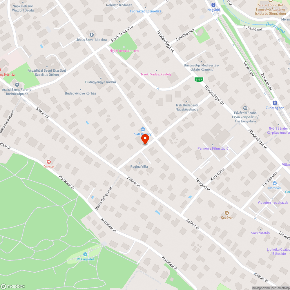 Befejezetlen útfelújítás a Bölöni György utcában bejelentés helye