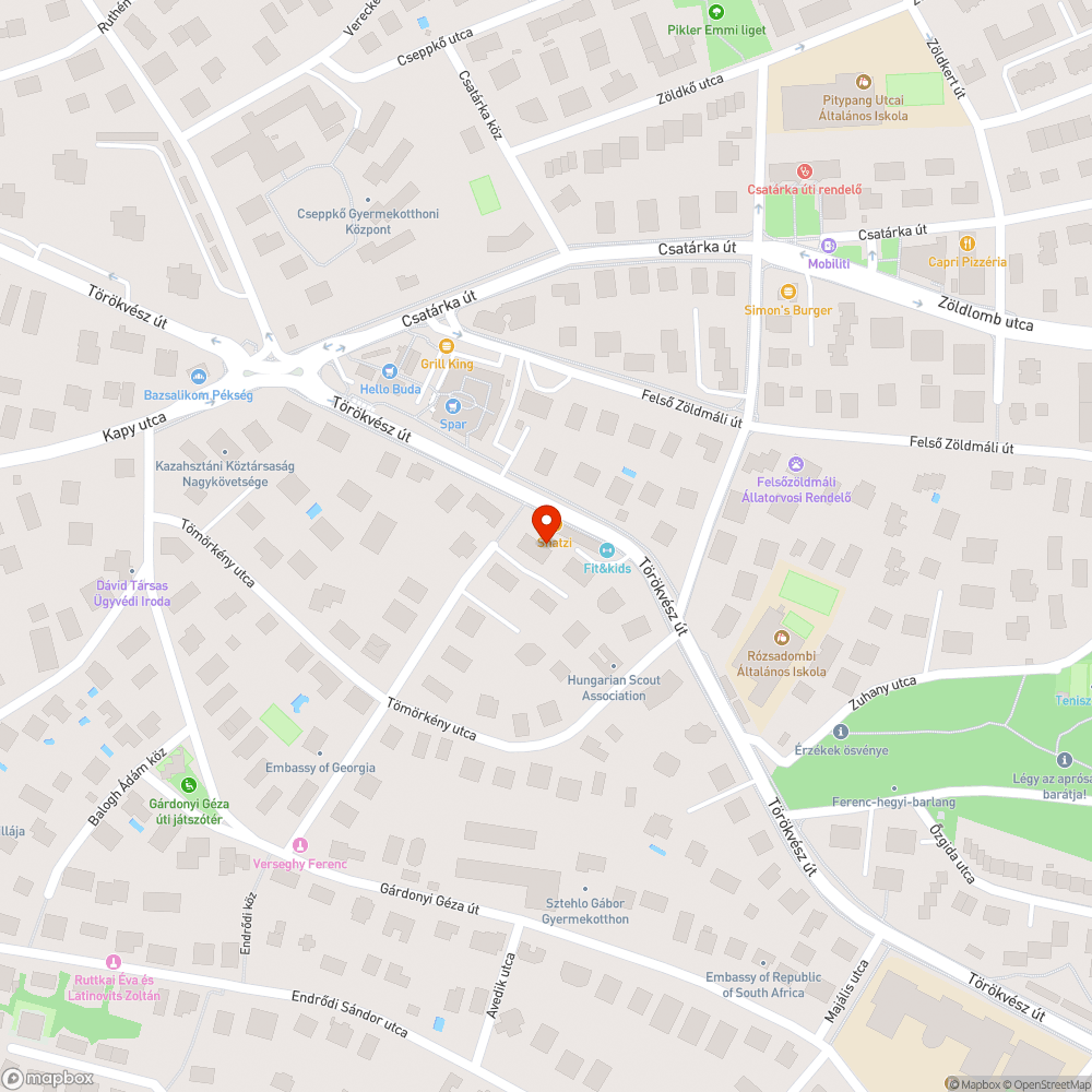 Közterületet figyelő kamera bejelentés helye