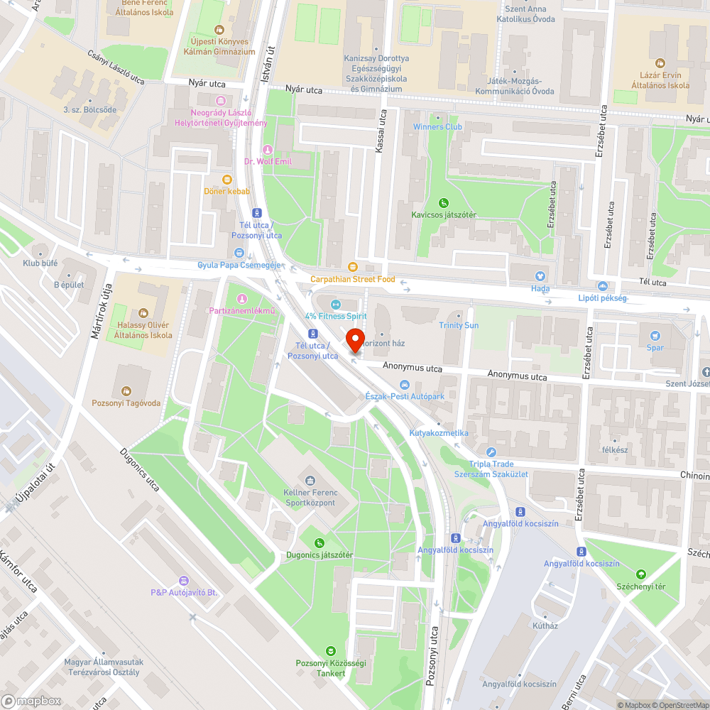 Eldugult víznyelő bejelentés helye