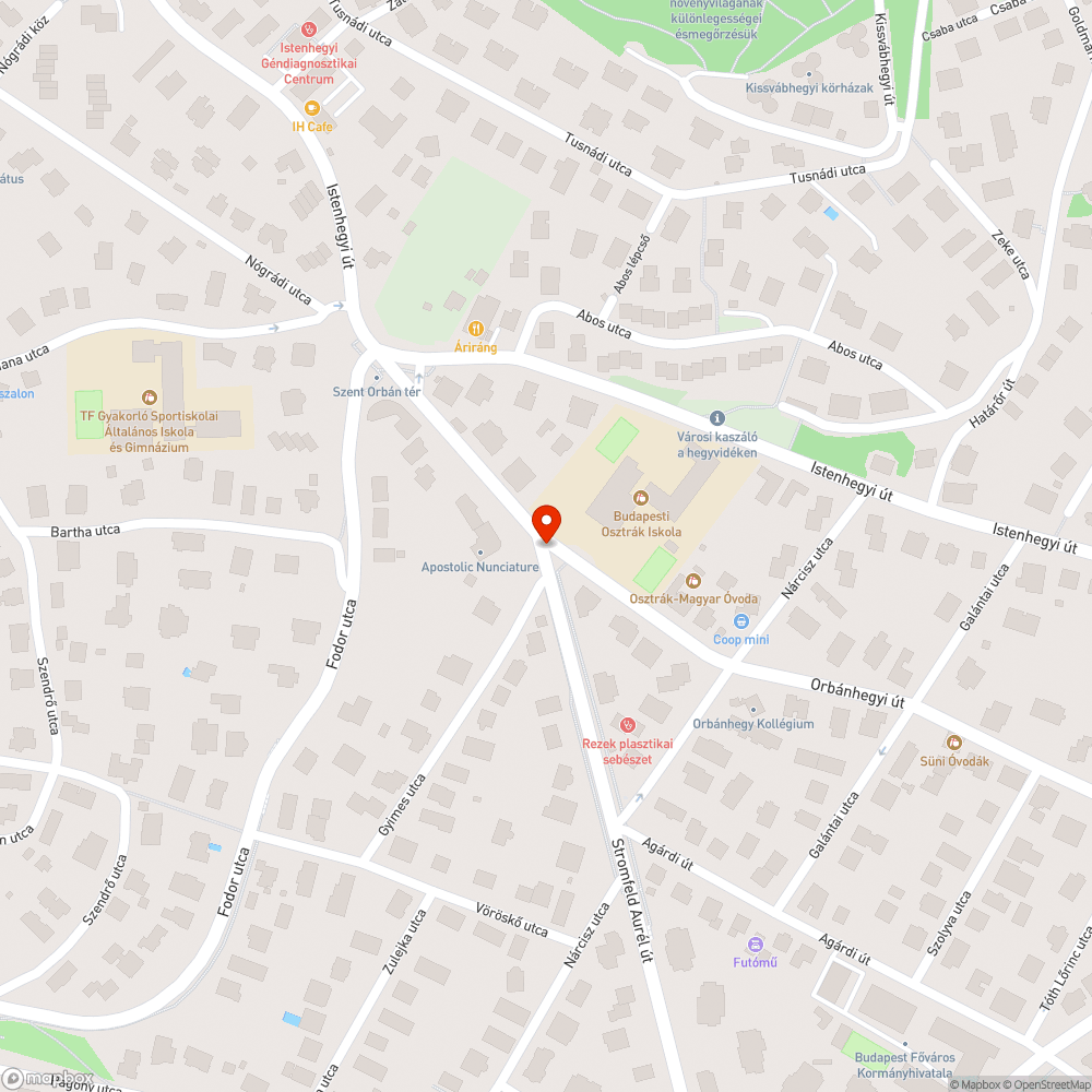 Beláthatóságot nehezítő faágak bejelentés helye