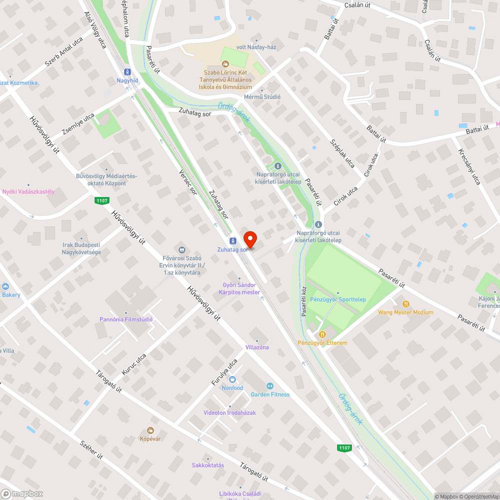 Lejtős útszakaszon bokáig falevél és víz bejelentés helye