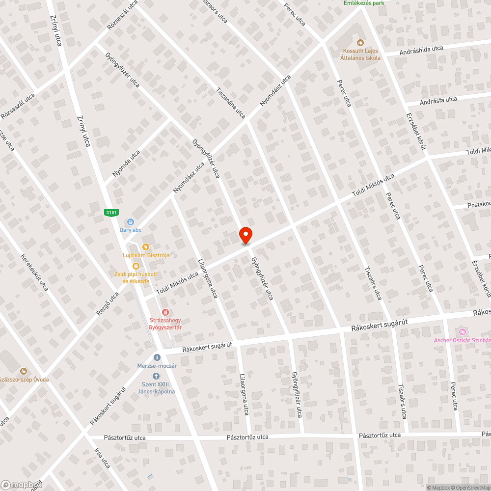 Túlburjánzott és elhanyagolt növényzet az út mentén bejelentés helye