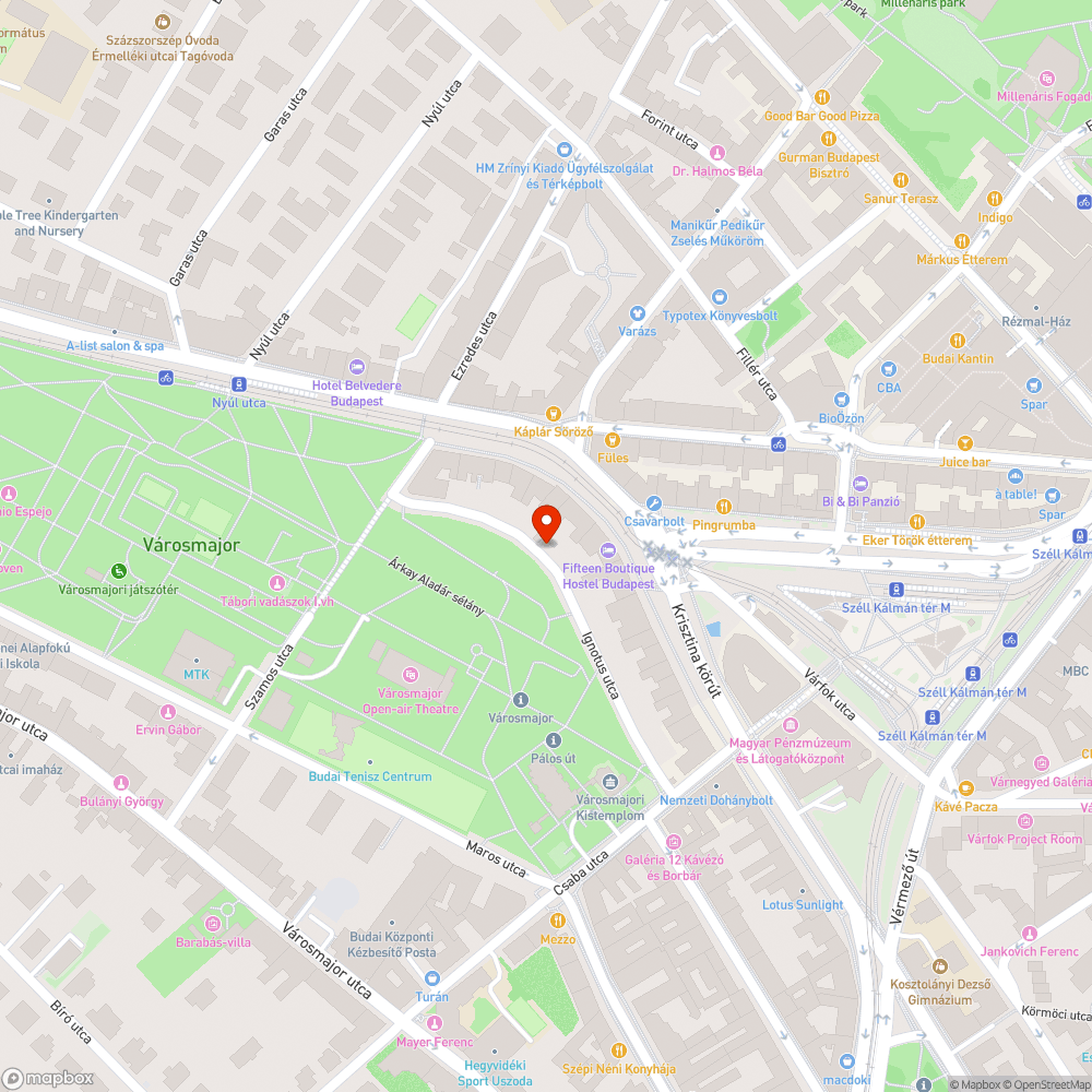 Elkorhadt falevelek az úttesten bejelentés helye